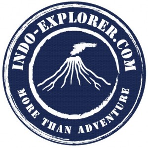 Logo INDO-EXPLORER - bialy tekst na granatowym tle